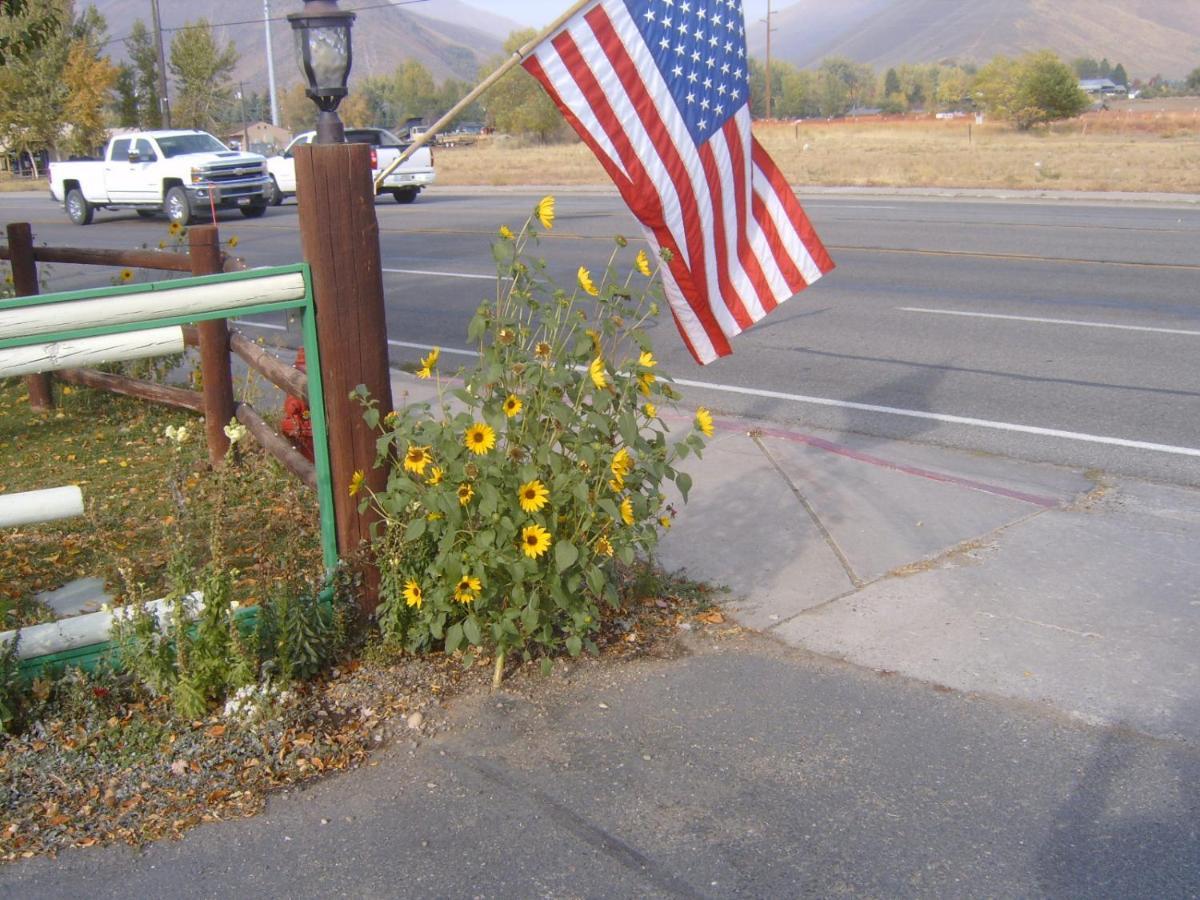 High Country Motel Bellevue Bagian luar foto